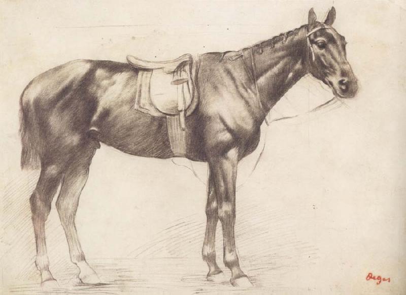 Edgar Degas Horse with Saddle and Bridle oil painting picture